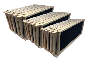 9 1/8" Assembled Deep Wood Frame, Black Foundation - 38 pack - TRIPLE WAX ($4.99 ea.)