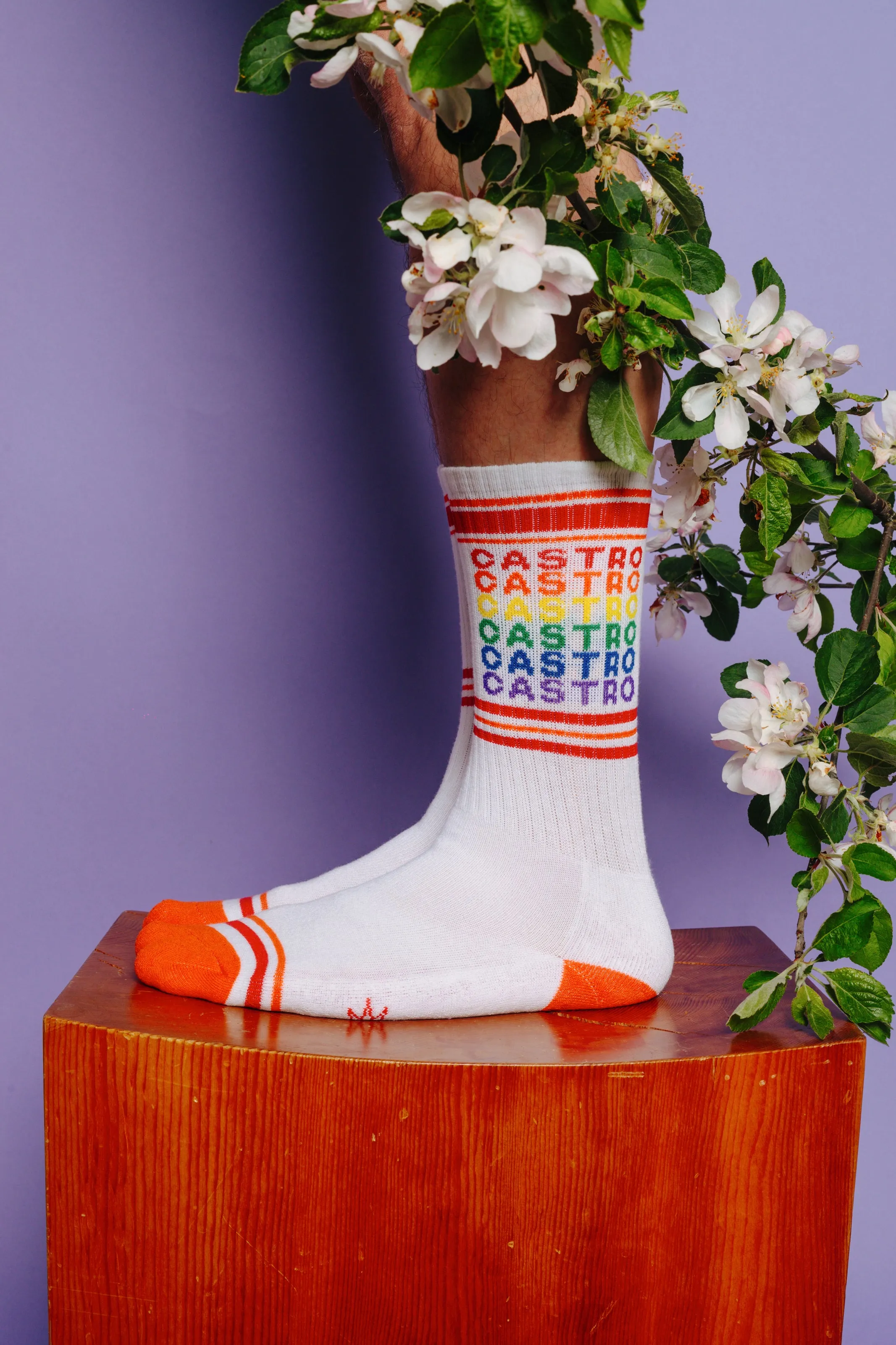 CASTRO GEO-GAY SOCKS