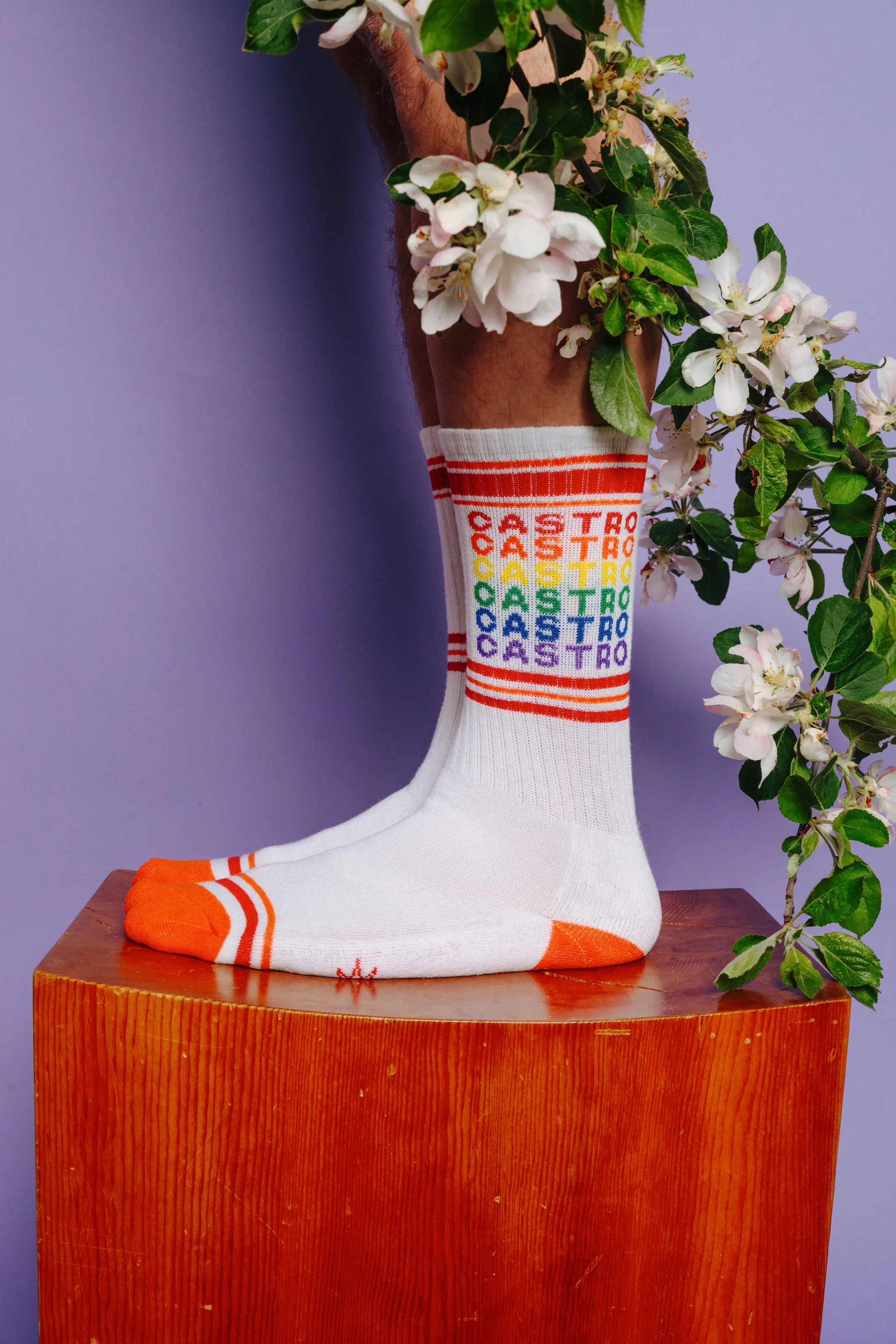 CASTRO GEO-GAY SOCKS