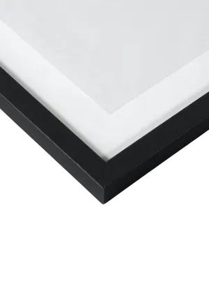 Smooth Black Wood Frame